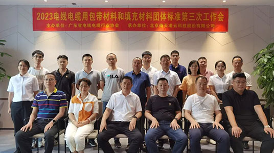 倚天云母承办2项团体标准修订工作会于东莞顺利举行